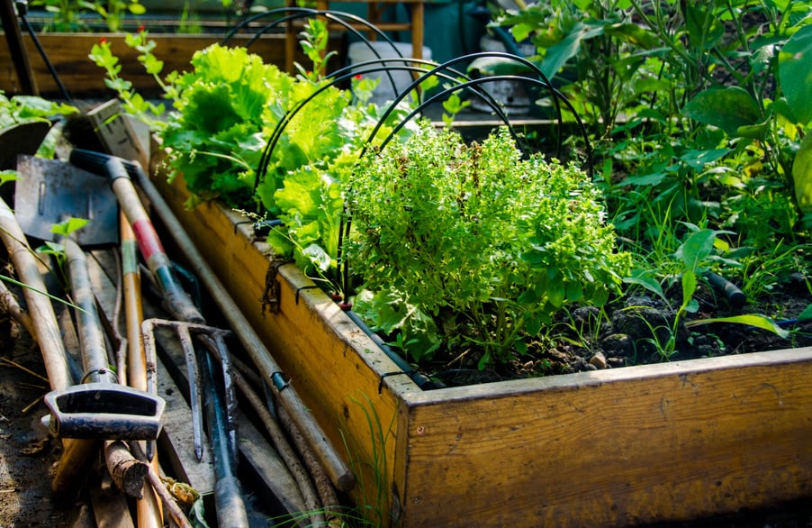 Urban Garden and Farming with garden equipment